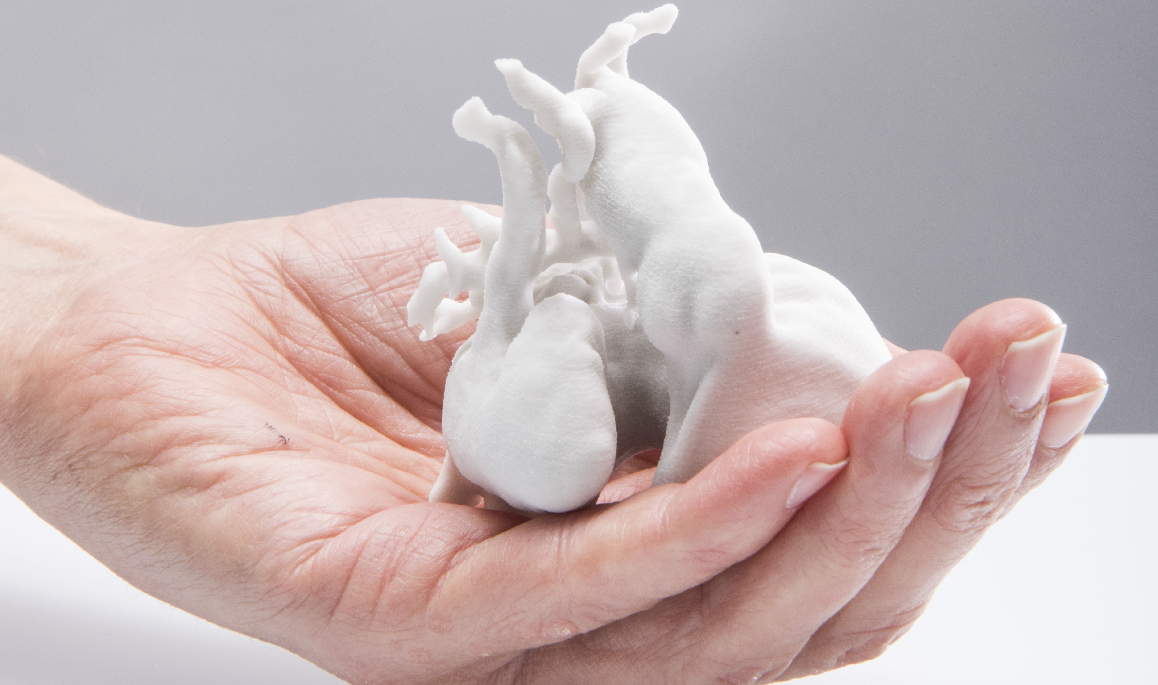 A hand holds a 3D printed model of a human heart